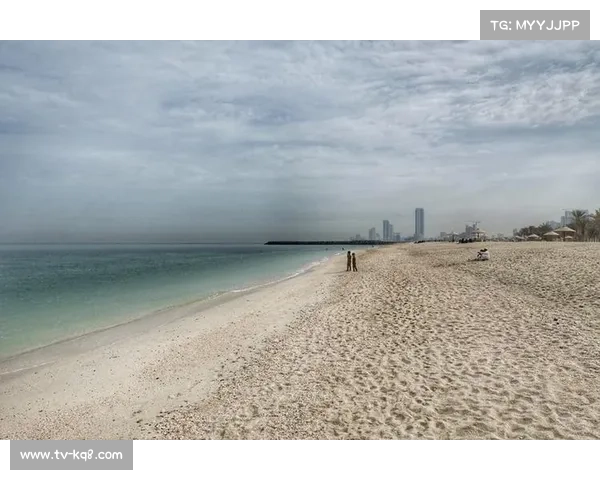 国际赛事认证强化沙迦作为领先阿拉伯平台地位，遵循最佳组织实践